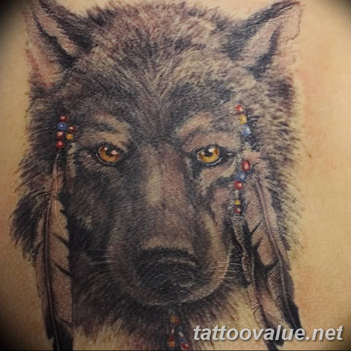 photo of wolf tattoo 27.11.2018 №306 - an example of a finished wolf tattoo - tattoovalue.net