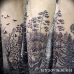 photo of wolf tattoo 27.11.2018 №309 - an example of a finished wolf tattoo - tattoovalue.net