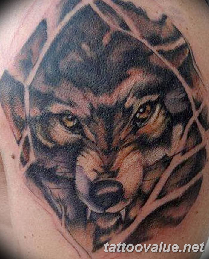 photo of wolf tattoo 27.11.2018 №316 - an example of a finished wolf tattoo - tattoovalue.net