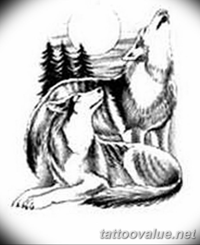 photo of wolf tattoo 27.11.2018 №318 - an example of a finished wolf tattoo - tattoovalue.net