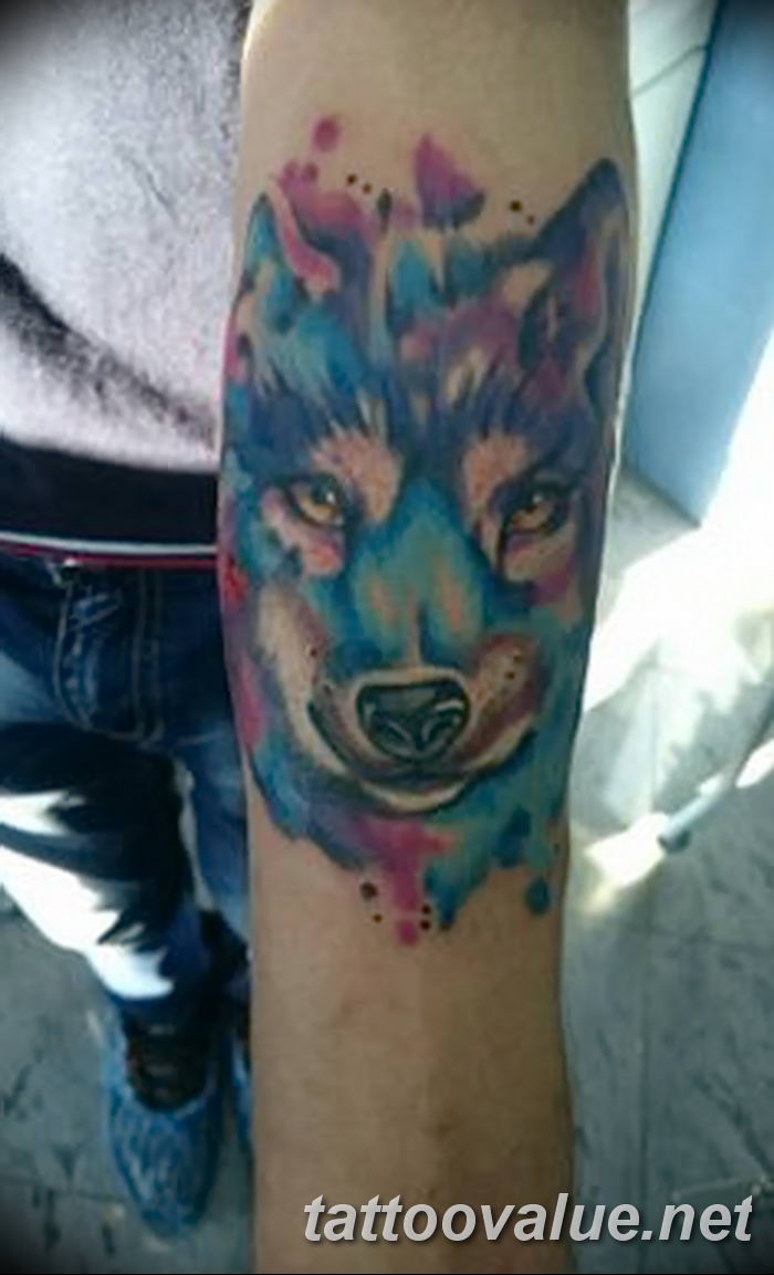 photo of wolf tattoo 27.11.2018 №320 - an example of a finished wolf tattoo - tattoovalue.net