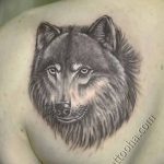 photo of wolf tattoo 27.11.2018 №321 - an example of a finished wolf tattoo - tattoovalue.net