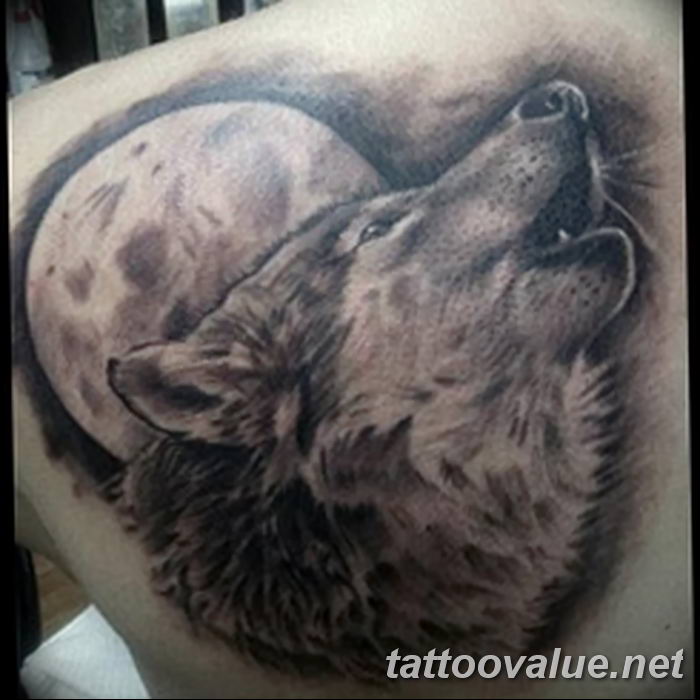 photo of wolf tattoo 27.11.2018 №323 - an example of a finished wolf tattoo - tattoovalue.net