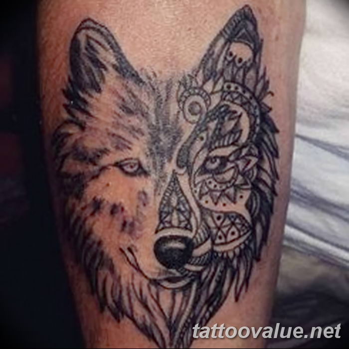 photo of wolf tattoo 27.11.2018 №325 - an example of a finished wolf tattoo - tattoovalue.net