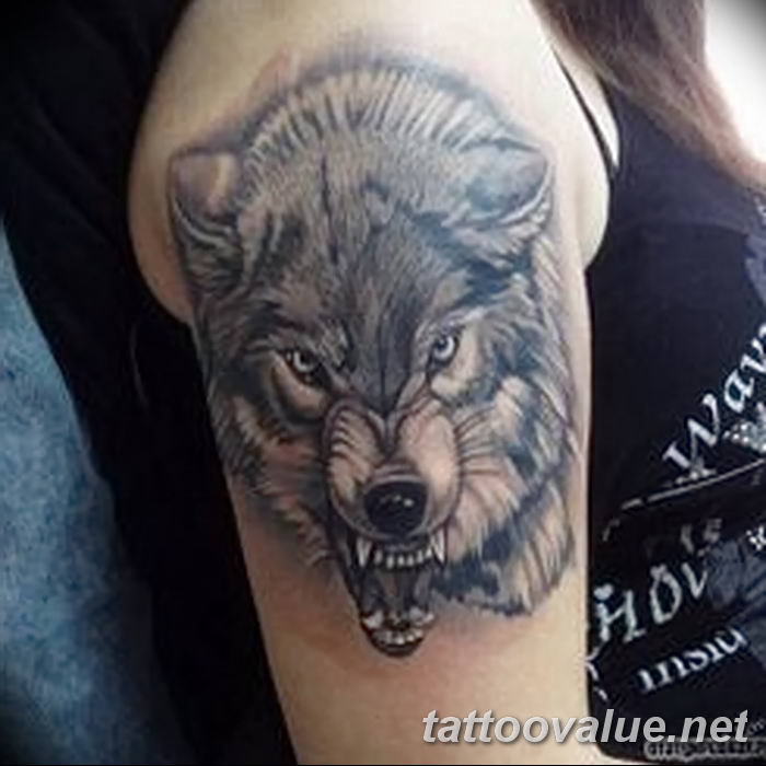 photo of wolf tattoo 27.11.2018 №327 - an example of a finished wolf tattoo - tattoovalue.net