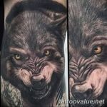 photo of wolf tattoo 27.11.2018 №330 - an example of a finished wolf tattoo - tattoovalue.net