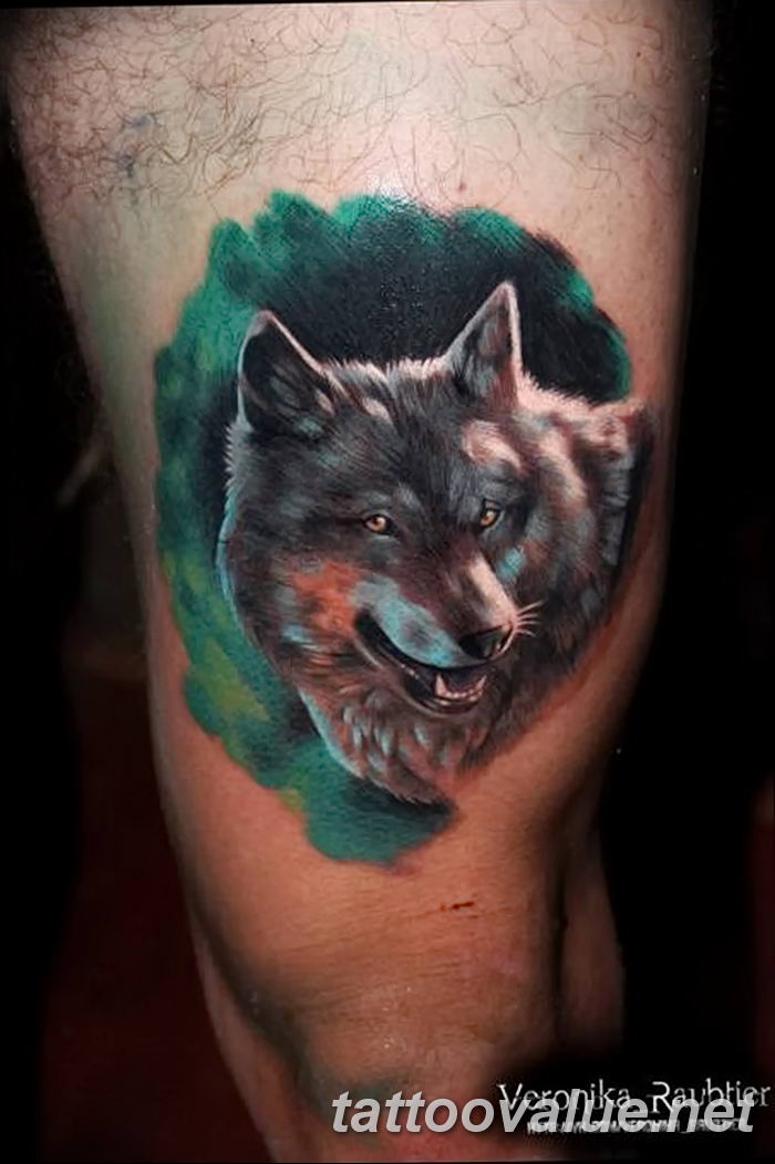 photo of wolf tattoo 27.11.2018 №332 - an example of a finished wolf tattoo - tattoovalue.net