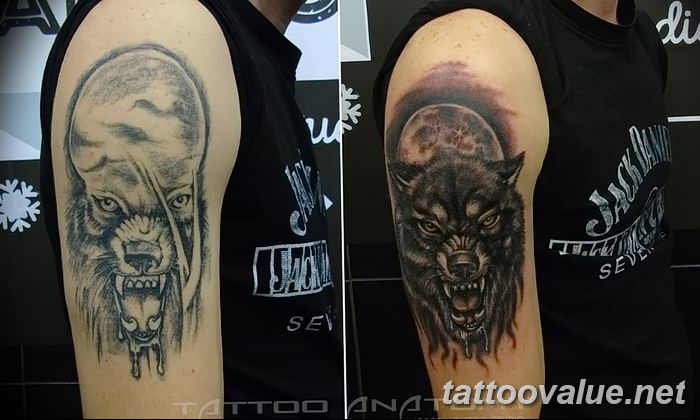 photo of wolf tattoo 27.11.2018 №335 - an example of a finished wolf tattoo - tattoovalue.net