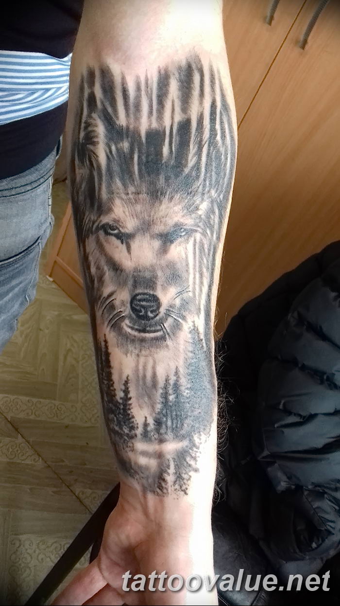 photo of wolf tattoo 27.11.2018 №336 - an example of a finished wolf tattoo - tattoovalue.net