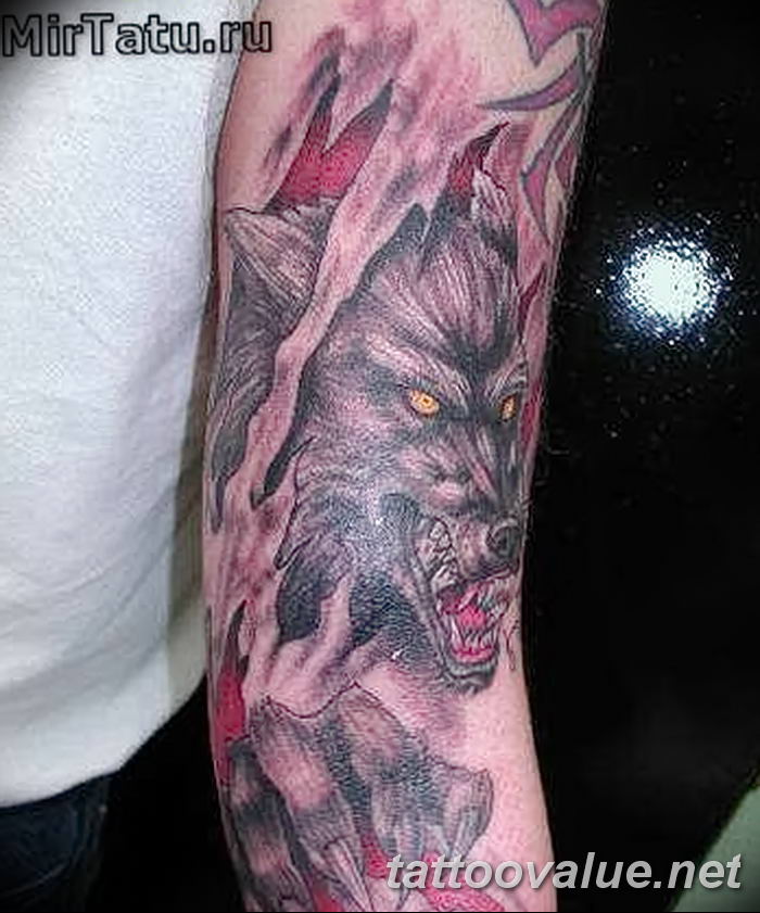 photo of wolf tattoo 27.11.2018 №337 - an example of a finished wolf tattoo - tattoovalue.net