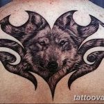 photo of wolf tattoo 27.11.2018 №338 - an example of a finished wolf tattoo - tattoovalue.net