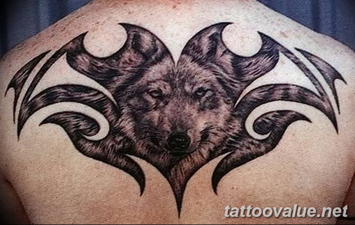 photo of wolf tattoo 27.11.2018 №338 - an example of a finished wolf tattoo - tattoovalue.net