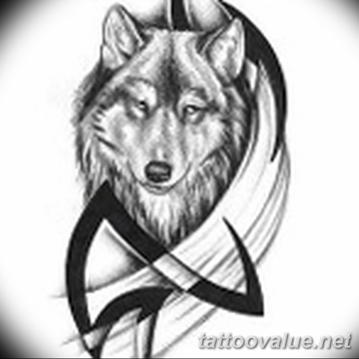 photo of wolf tattoo 27.11.2018 №341 - an example of a finished wolf tattoo - tattoovalue.net