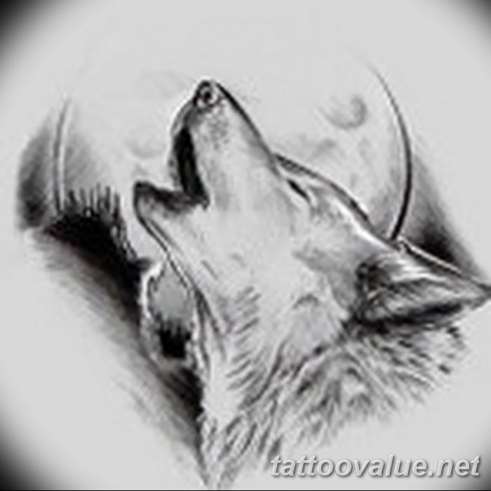 photo of wolf tattoo 27.11.2018 №342 - an example of a finished wolf tattoo - tattoovalue.net