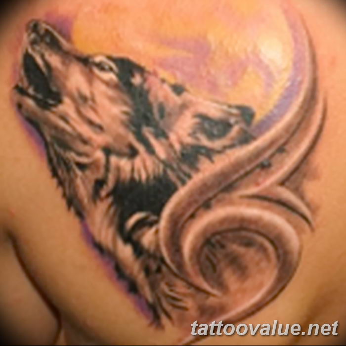 photo of wolf tattoo 27.11.2018 №344 - an example of a finished wolf tattoo - tattoovalue.net
