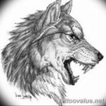 photo of wolf tattoo 27.11.2018 №348 - an example of a finished wolf tattoo - tattoovalue.net