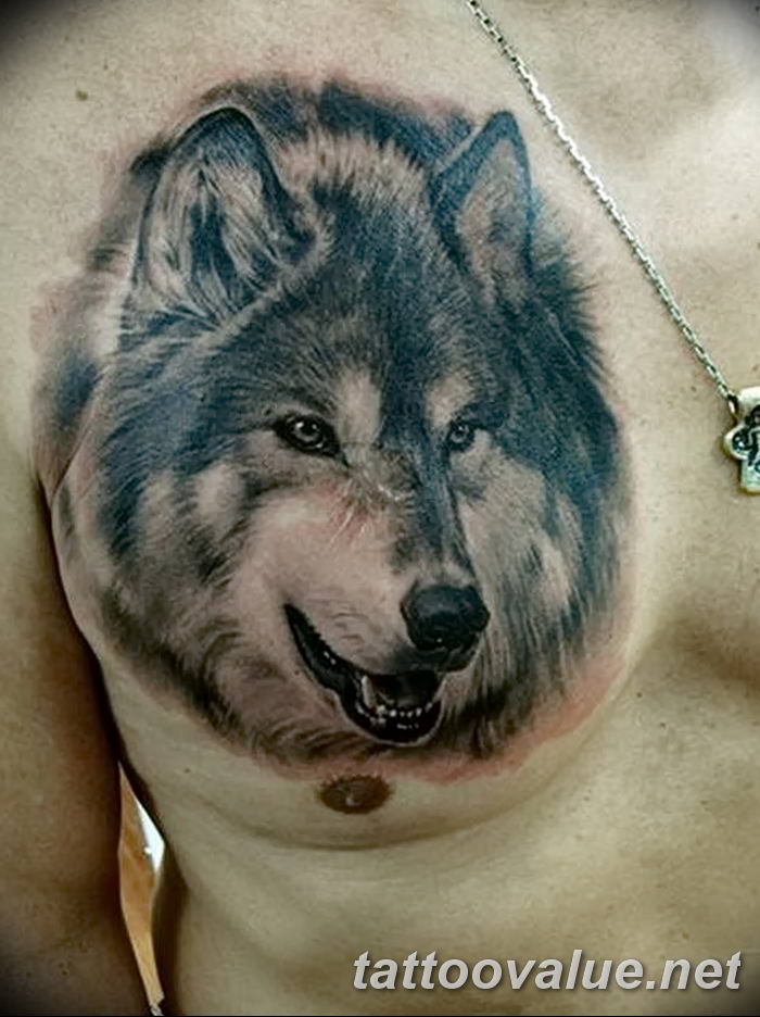 photo of wolf tattoo 27.11.2018 №353 - an example of a finished wolf tattoo - tattoovalue.net