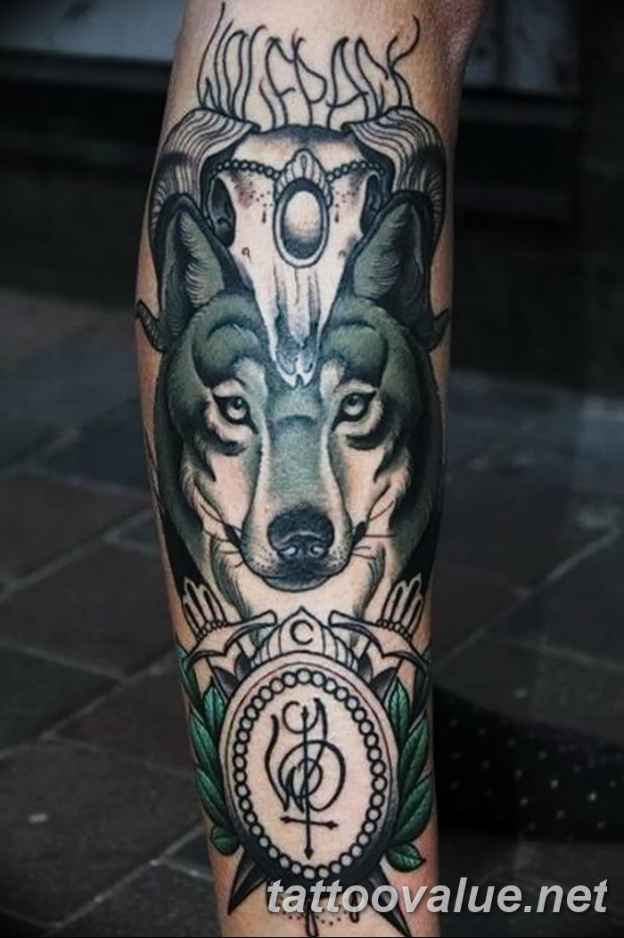 photo of wolf tattoo 27.11.2018 №356 - an example of a finished wolf tattoo - tattoovalue.net