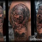photo of wolf tattoo 27.11.2018 №358 - an example of a finished wolf tattoo - tattoovalue.net