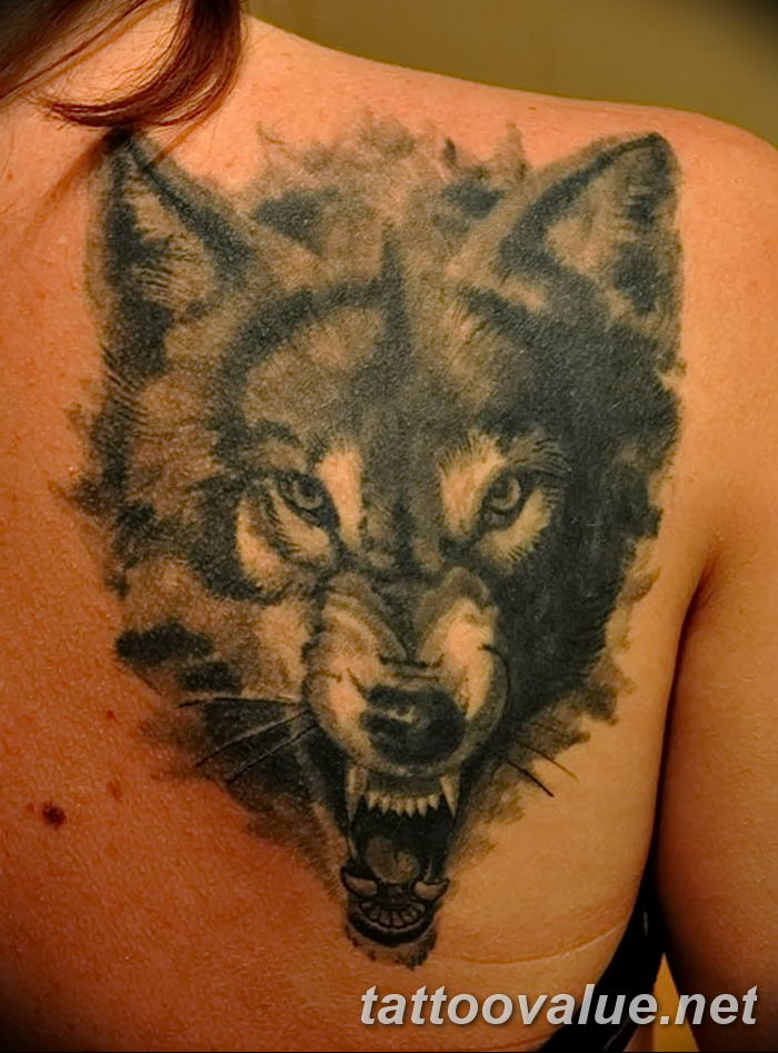 photo of wolf tattoo 27.11.2018 №361 - an example of a finished wolf tattoo - tattoovalue.net