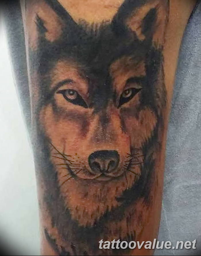 opera14.10.2015 , 12:15:33#tattoowolf  Ôîòî è âèäåî íà Instagram  Opera