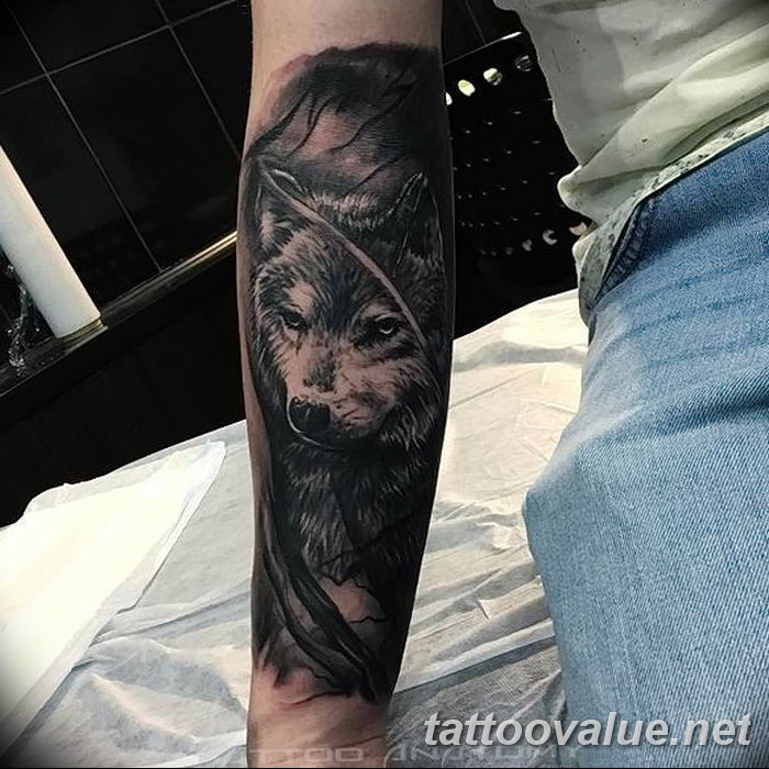 photo of wolf tattoo 27.11.2018 №363 - an example of a finished wolf tattoo - tattoovalue.net