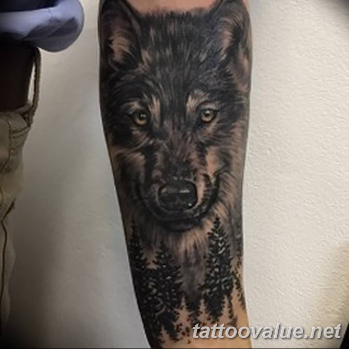 photo of wolf tattoo 27.11.2018 №366 - an example of a finished wolf tattoo - tattoovalue.net