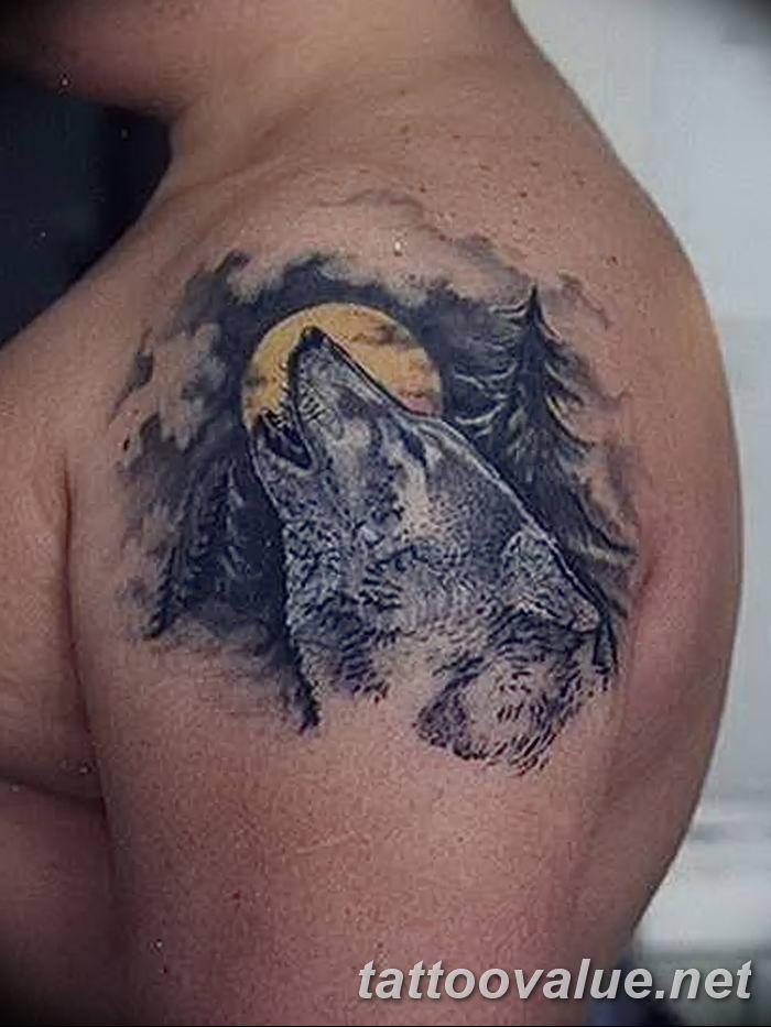 photo of wolf tattoo 27.11.2018 №370 - an example of a finished wolf tattoo - tattoovalue.net