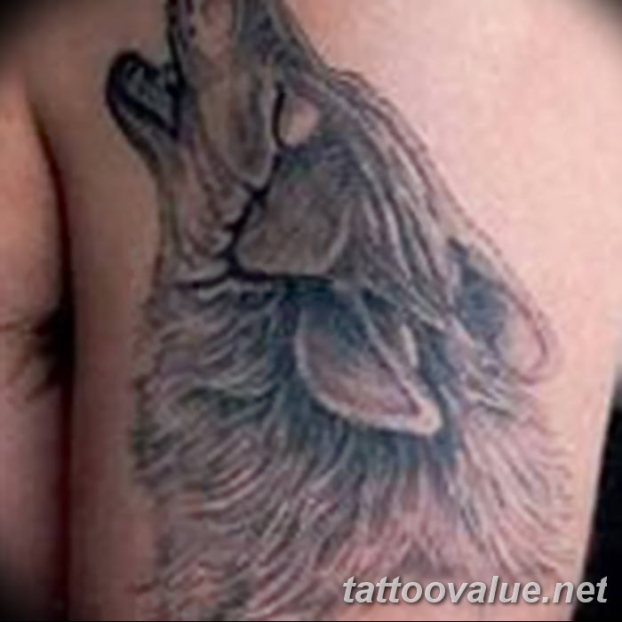 photo of wolf tattoo 27.11.2018 №371 - an example of a finished wolf tattoo - tattoovalue.net