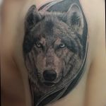 photo of wolf tattoo 27.11.2018 №377 - an example of a finished wolf tattoo - tattoovalue.net