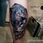 photo of wolf tattoo 27.11.2018 №381 - an example of a finished wolf tattoo - tattoovalue.net