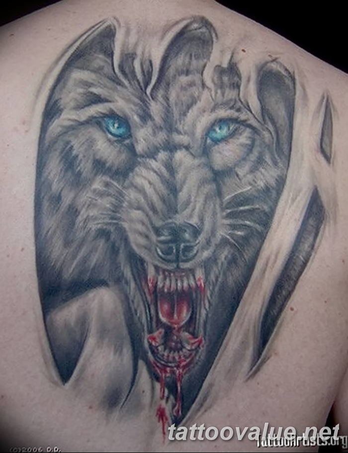 photo of wolf tattoo 27.11.2018 №383 - an example of a finished wolf tattoo - tattoovalue.net