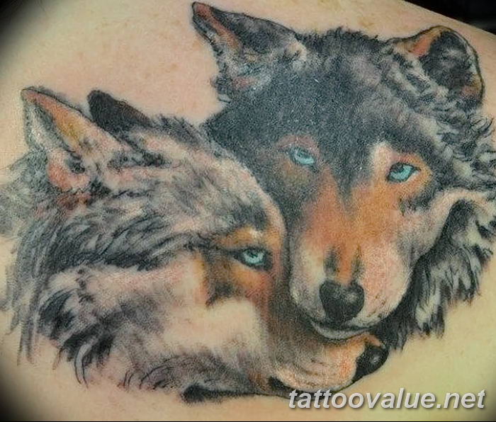 photo of wolf tattoo 27.11.2018 №389 - an example of a finished wolf tattoo - tattoovalue.net