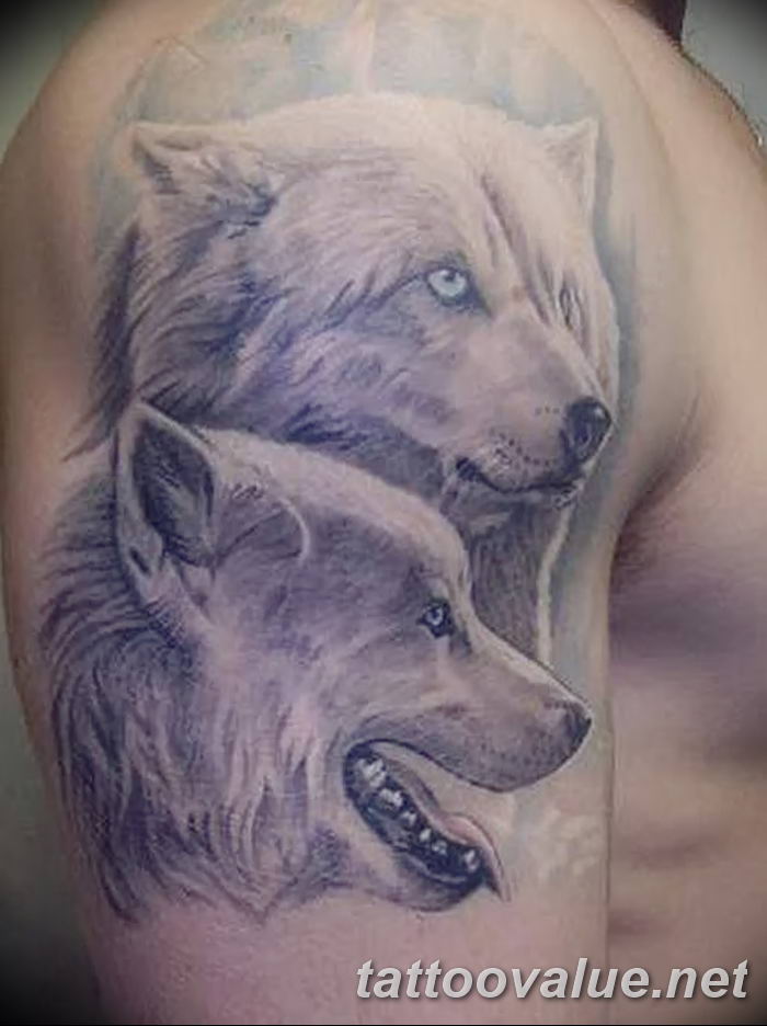 photo of wolf tattoo 27.11.2018 №396 - an example of a finished wolf tattoo - tattoovalue.net