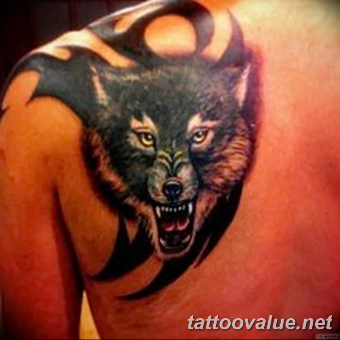 photo of wolf tattoo 27.11.2018 №400 - an example of a finished wolf tattoo - tattoovalue.net