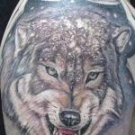 photo of wolf tattoo 27.11.2018 №404 - an example of a finished wolf tattoo - tattoovalue.net
