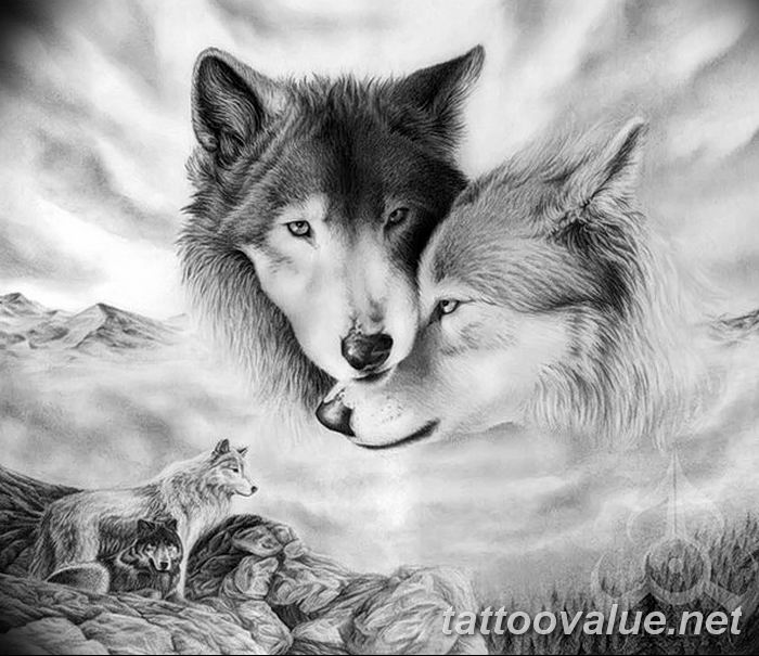 photo of wolf tattoo 27.11.2018 №405 - an example of a finished wolf tattoo - tattoovalue.net