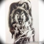 photo of wolf tattoo 27.11.2018 №406 - an example of a finished wolf tattoo - tattoovalue.net