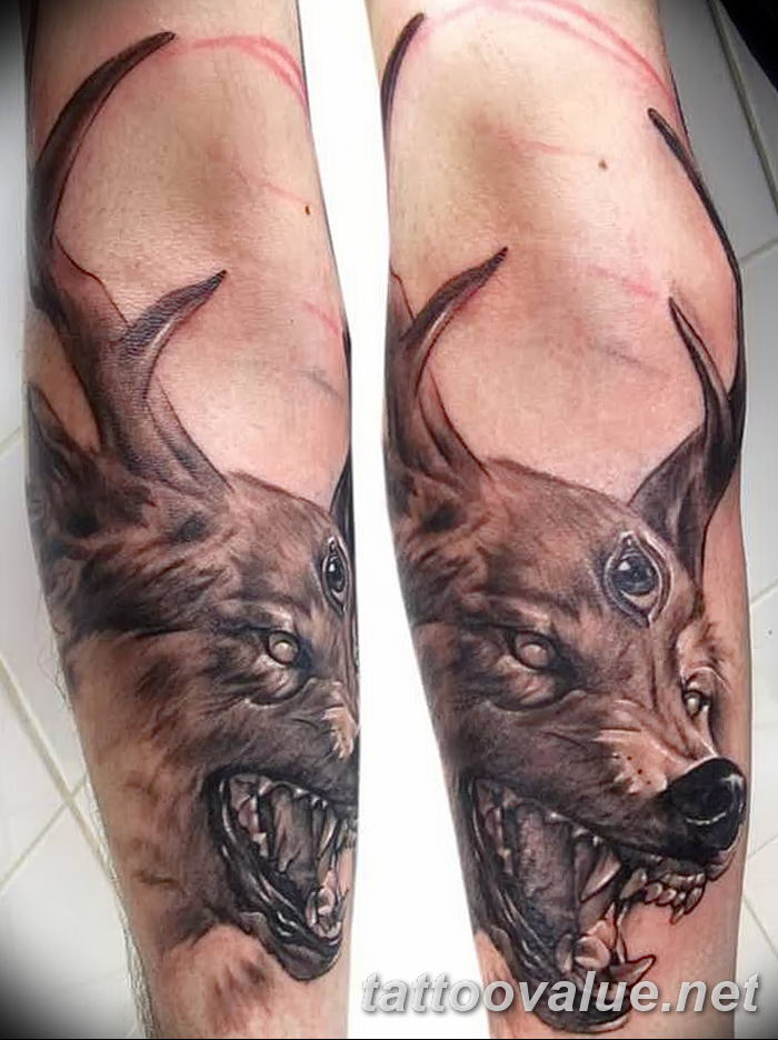 photo of wolf tattoo 27.11.2018 №408 - an example of a finished wolf tattoo - tattoovalue.net