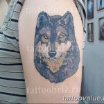 photo of wolf tattoo 27.11.2018 №409 - an example of a finished wolf tattoo - tattoovalue.net