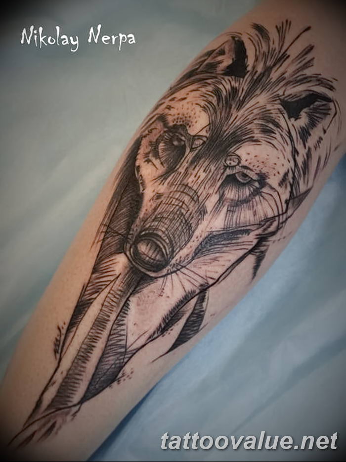 photo of wolf tattoo 27.11.2018 №410 - an example of a finished wolf tattoo - tattoovalue.net