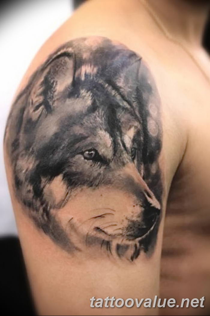 photo of wolf tattoo 27.11.2018 №412 - an example of a finished wolf tattoo - tattoovalue.net