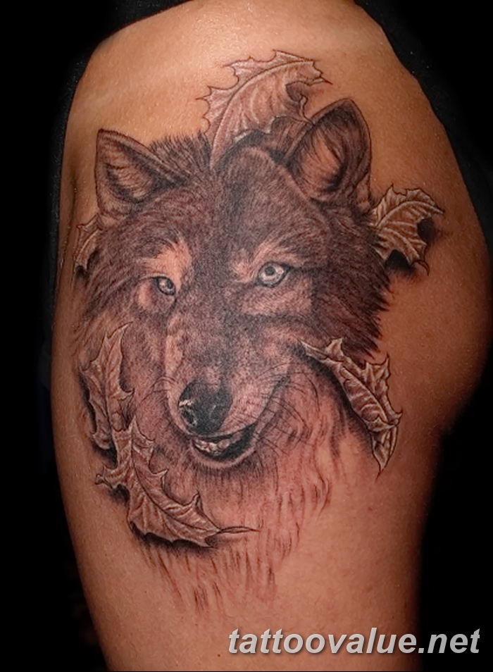photo of wolf tattoo 27.11.2018 №415 - an example of a finished wolf tattoo - tattoovalue.net