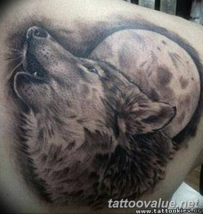 photo of wolf tattoo 27.11.2018 №420 - an example of a finished wolf tattoo - tattoovalue.net