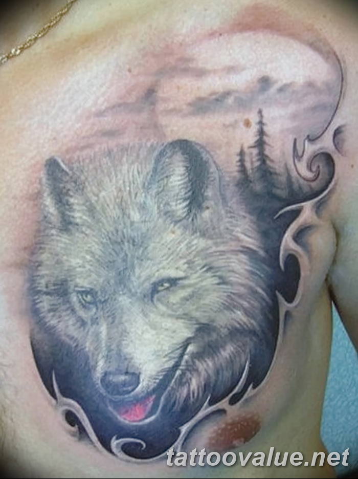 photo of wolf tattoo 27.11.2018 №424 - an example of a finished wolf tattoo - tattoovalue.net