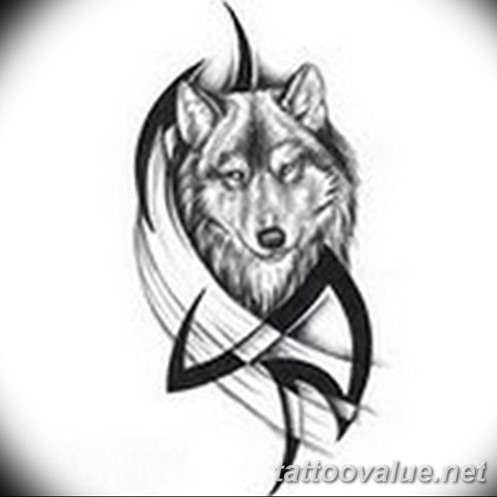photo of wolf tattoo 27.11.2018 №427 - an example of a finished wolf tattoo - tattoovalue.net