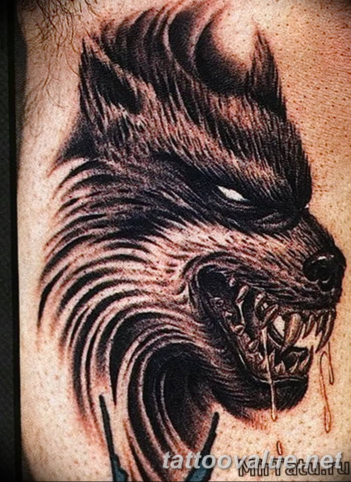 photo of wolf tattoo 27.11.2018 №431 - an example of a finished wolf tattoo - tattoovalue.net