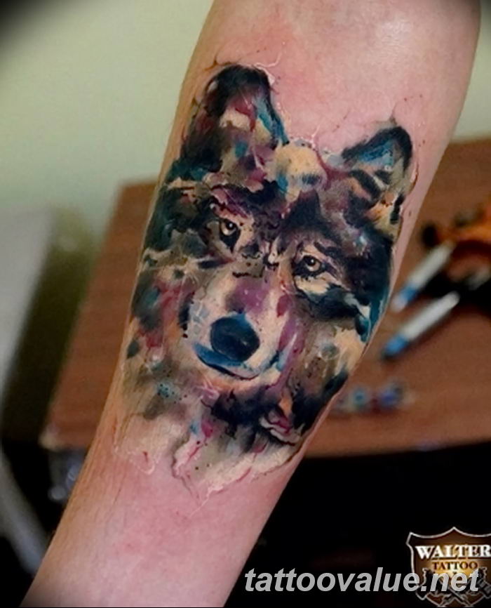 photo of wolf tattoo 27.11.2018 №433 - an example of a finished wolf tattoo - tattoovalue.net