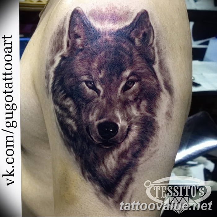 photo of wolf tattoo 27.11.2018 №435 - an example of a finished wolf tattoo - tattoovalue.net