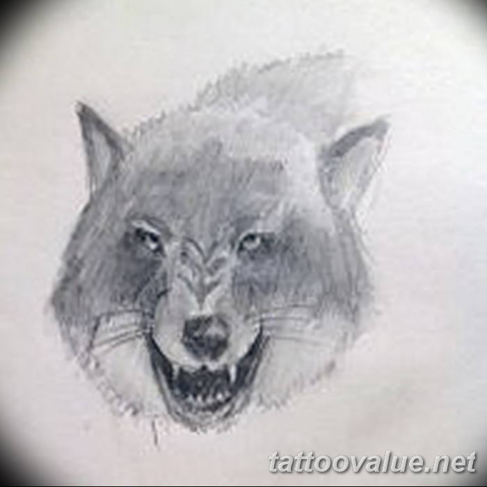 photo of wolf tattoo 27.11.2018 №438 - an example of a finished wolf tattoo - tattoovalue.net